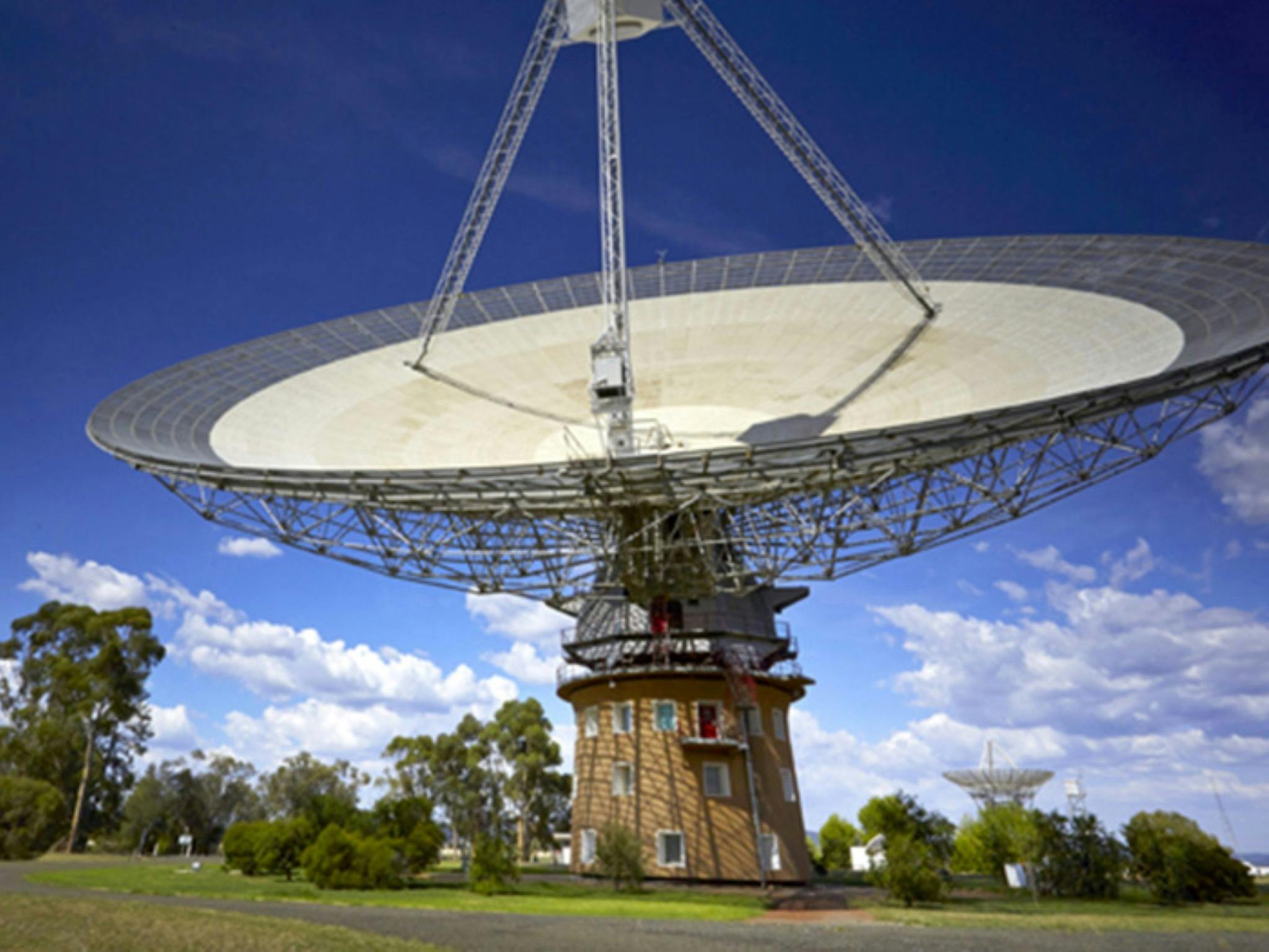 The Dish