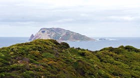 Point D'Entrecasteaux