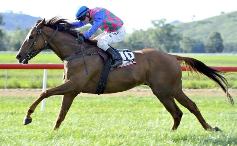 Image of the event 'Gundagai Races'