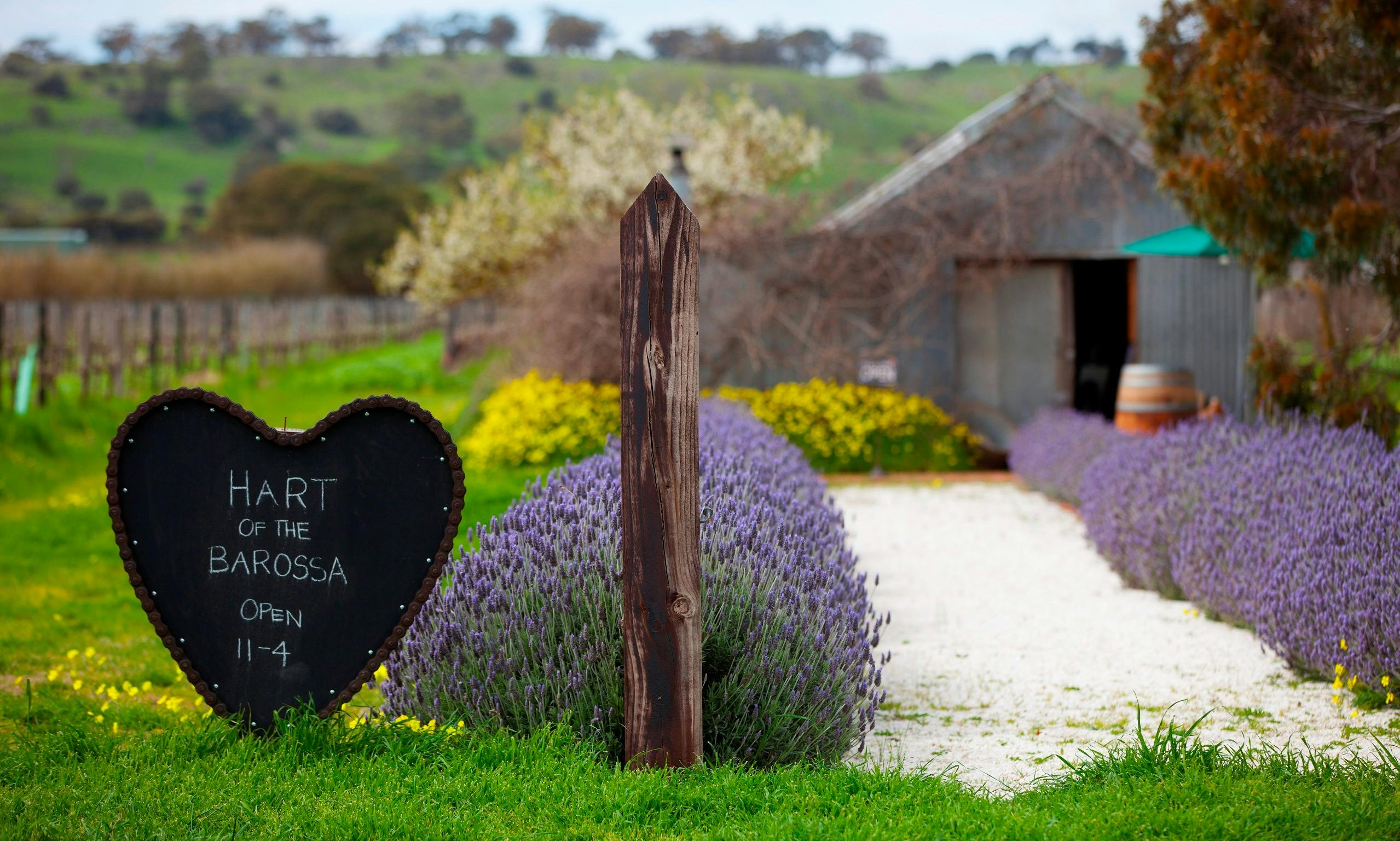 Hart of the Barossa