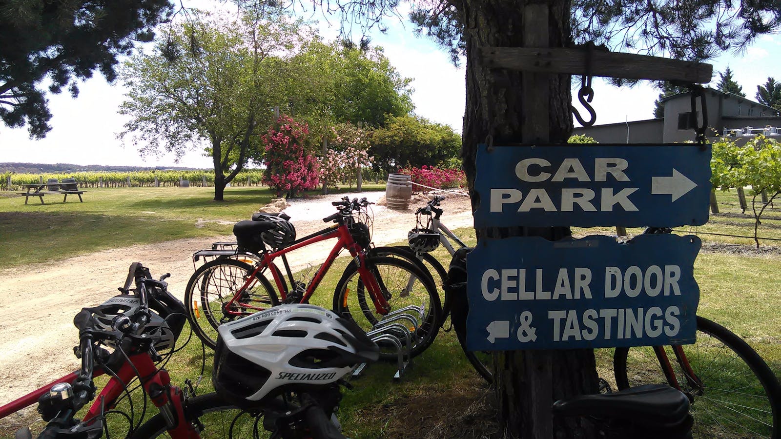 Granite Belt Bicycle Tours
