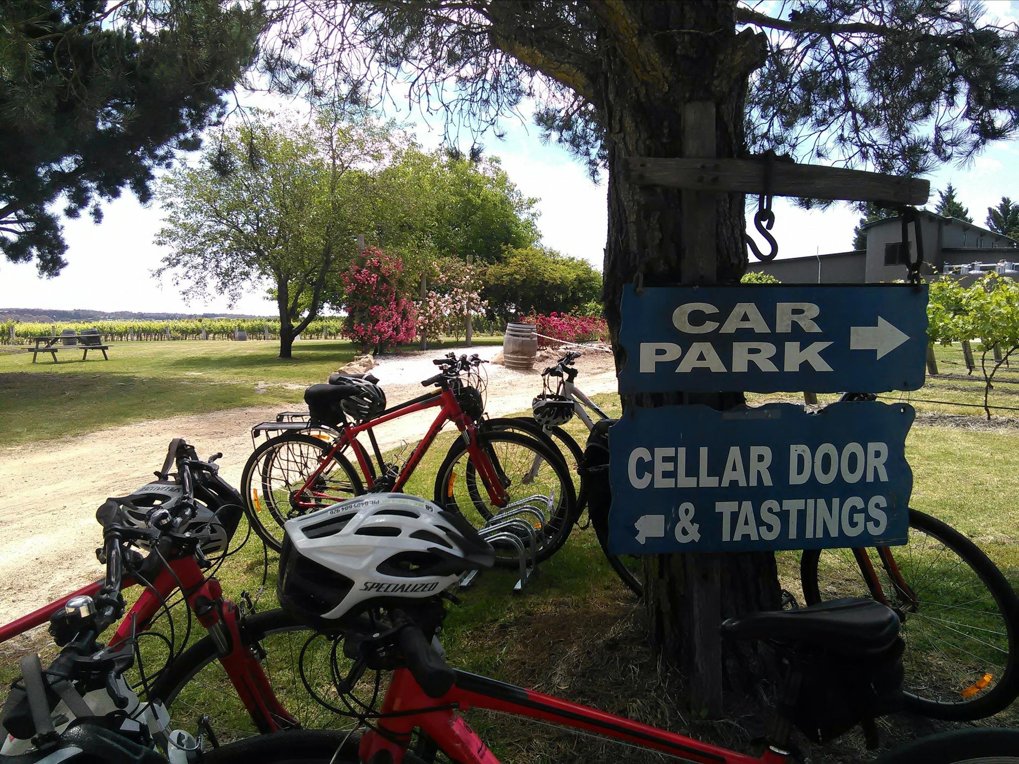 Bicycles parked outside a Granite Belt winery.
