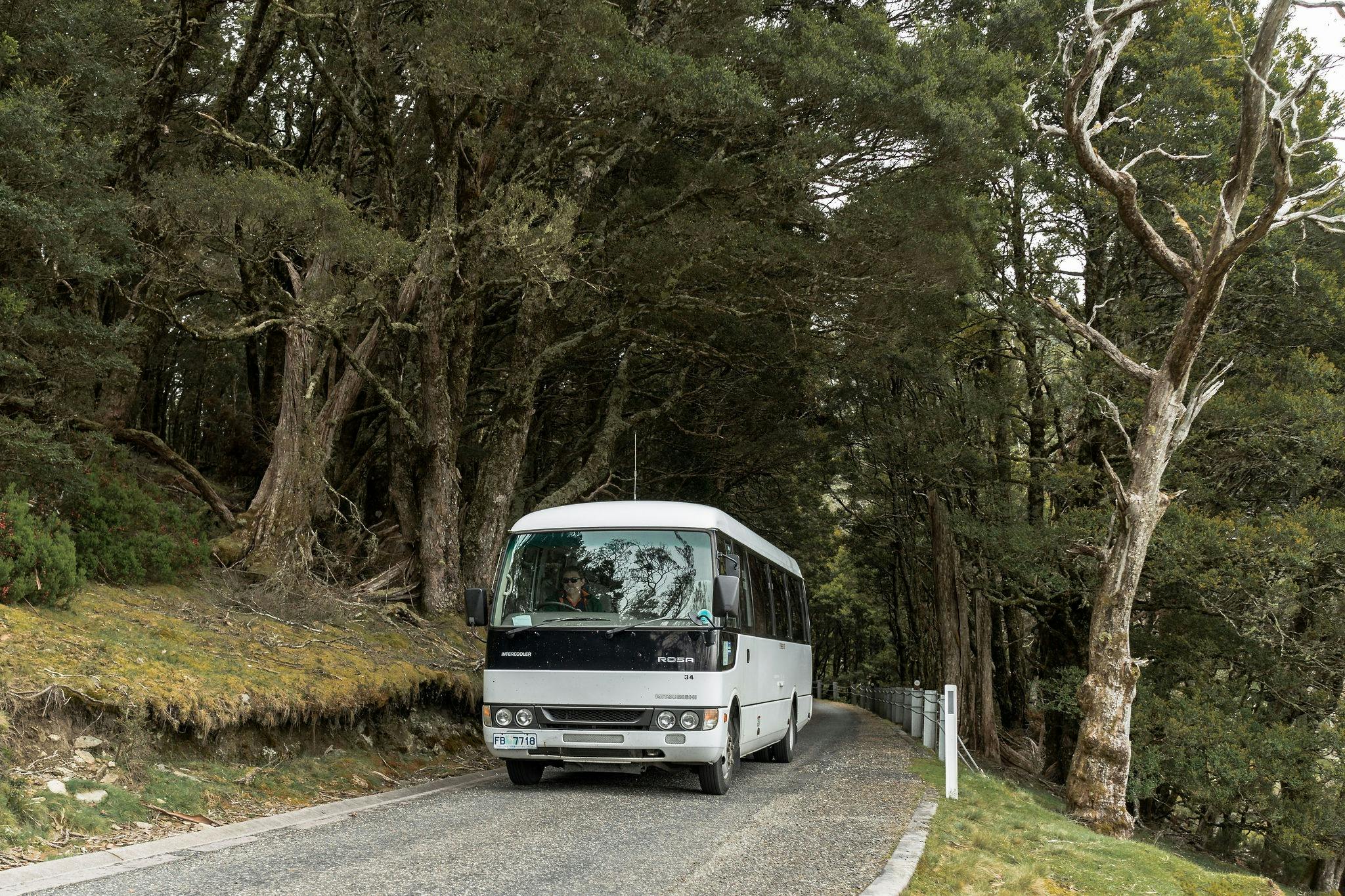 Small coach entering Cradle Mountain National Park