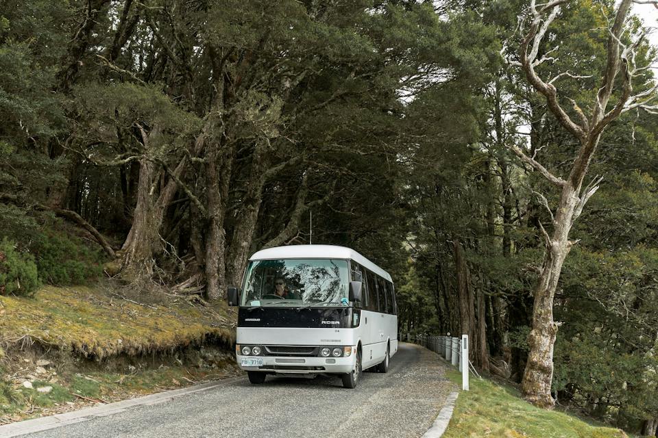 Cradle Mountain Transport Services photo