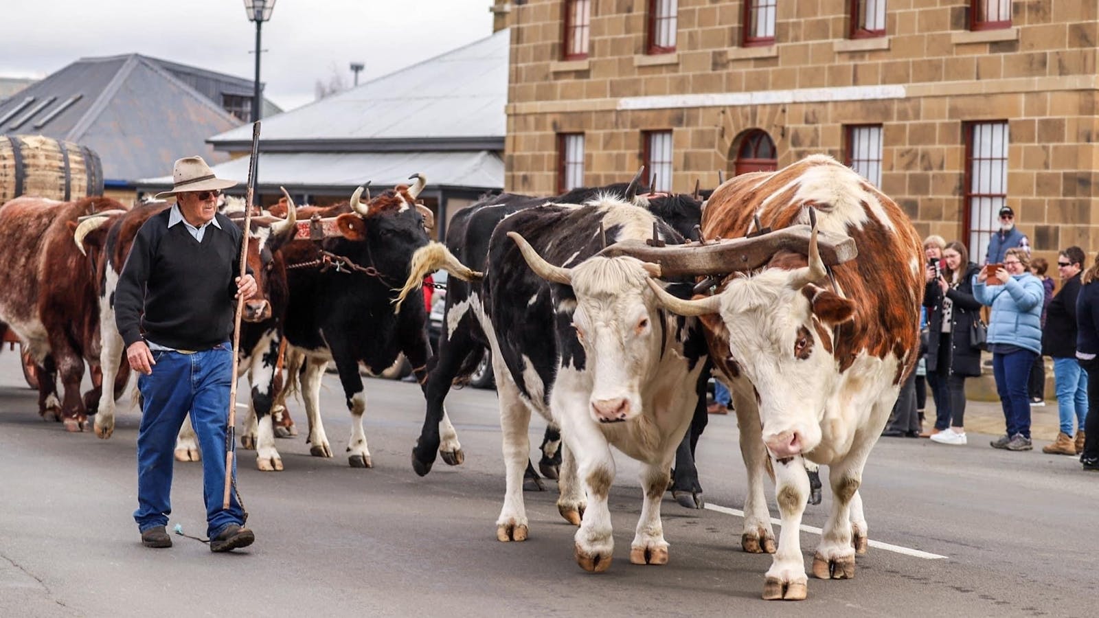 Brian Fish and his Bullock Team