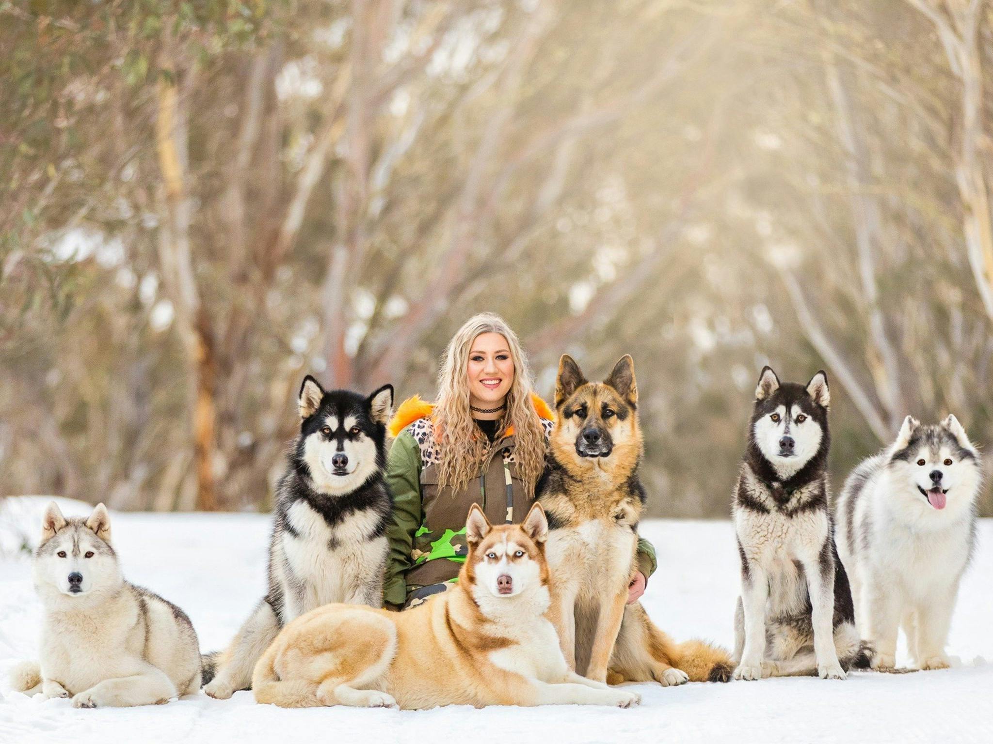 Snow Dogs Photography and Retreats