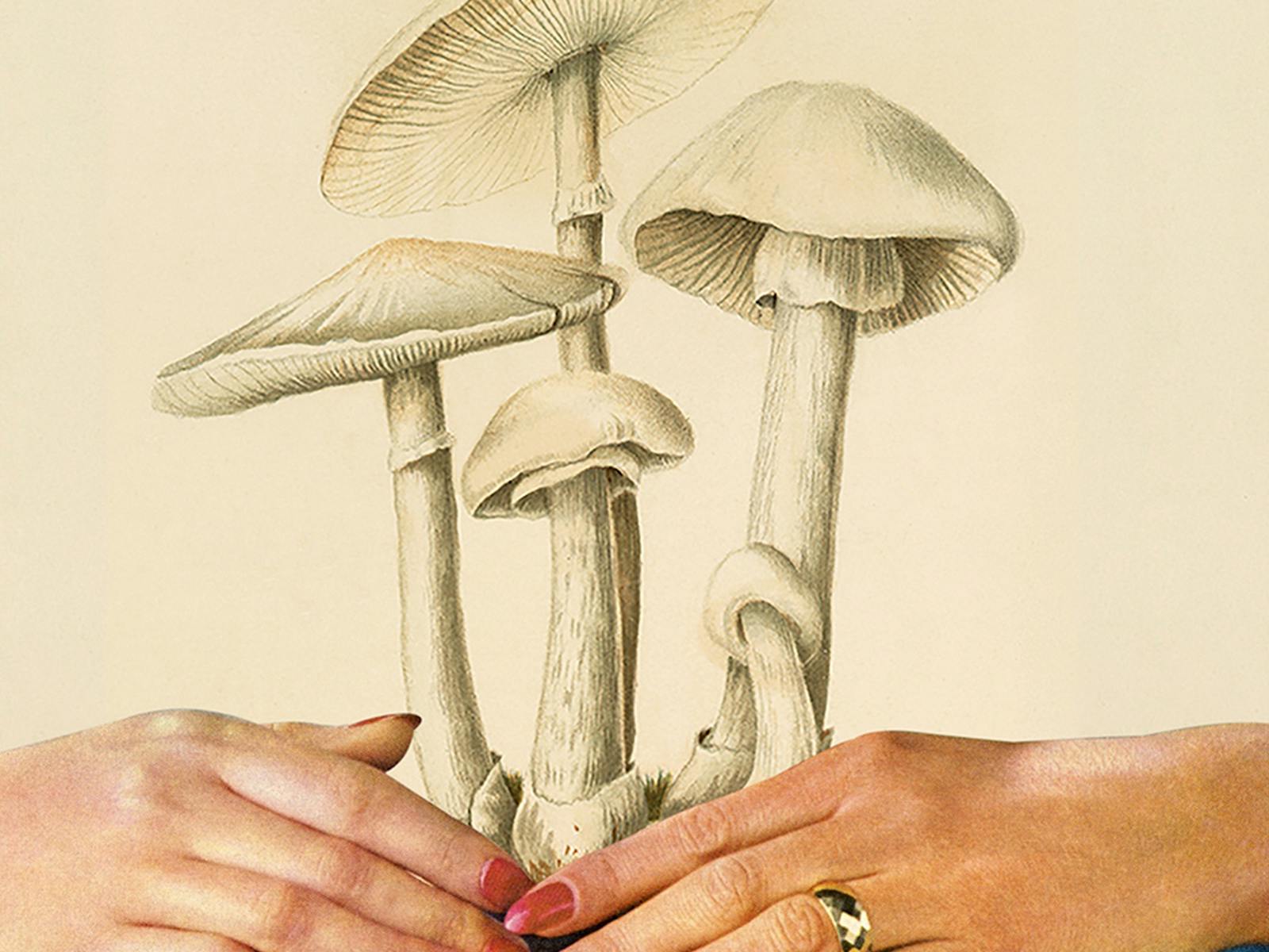 Fungi growing from hands