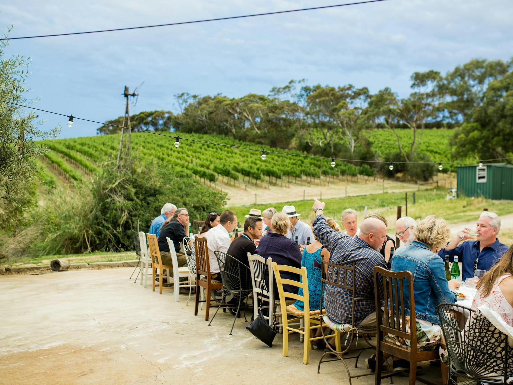 A long outdoor dinning table filled with people and a lush vineyard in the background
