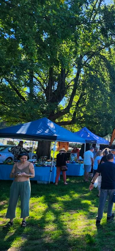 Market Day