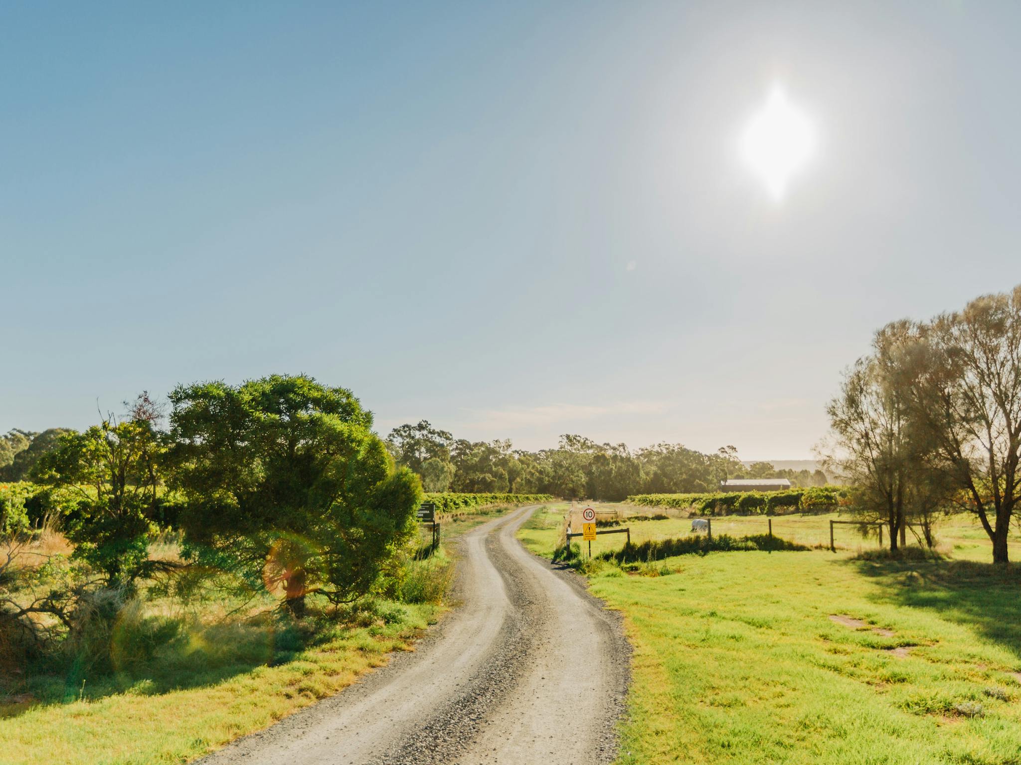 Vineyard entrance to CABN Mila McLaren Vale