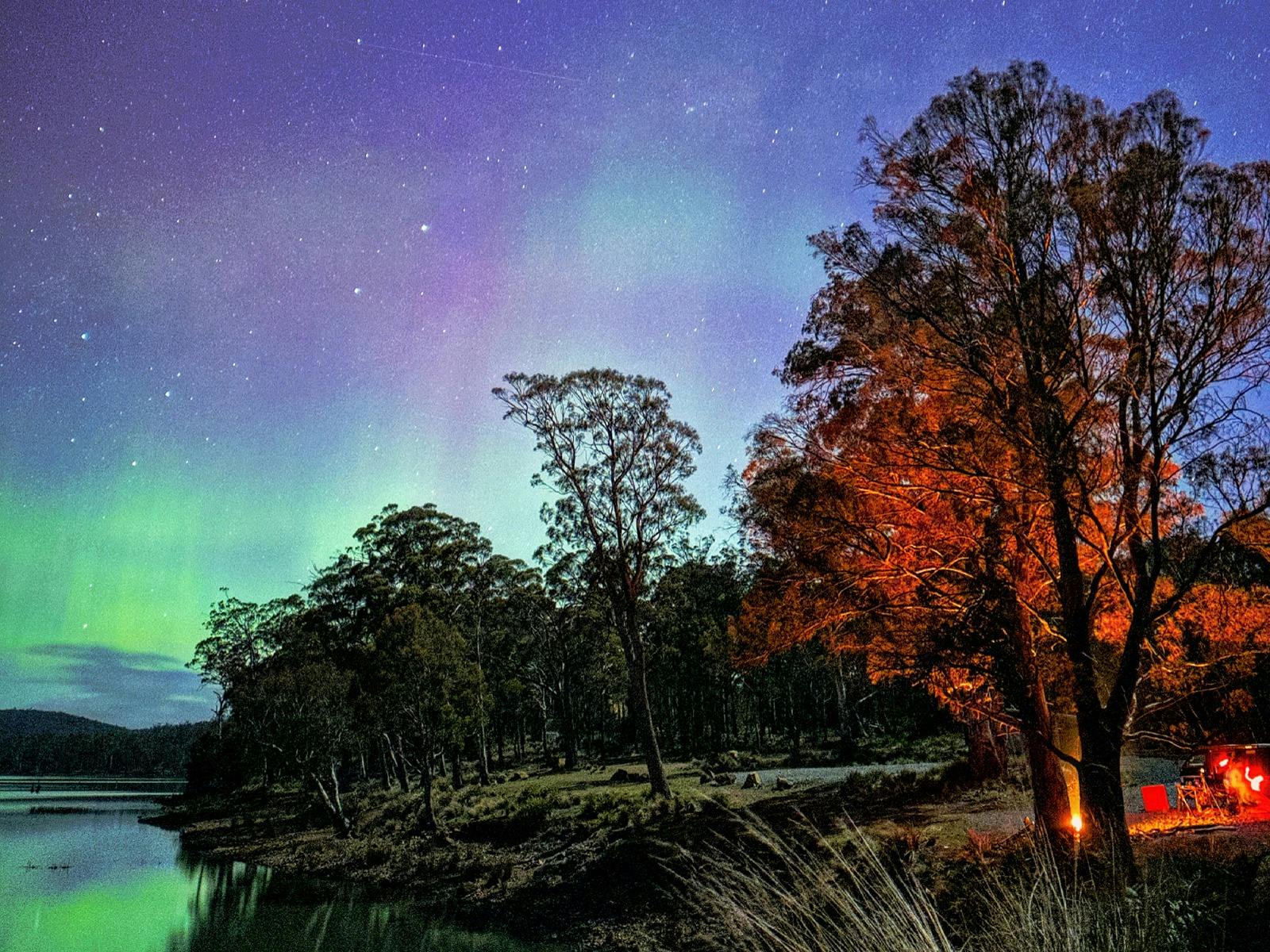 5-day van adventure with local gourmet hamper image