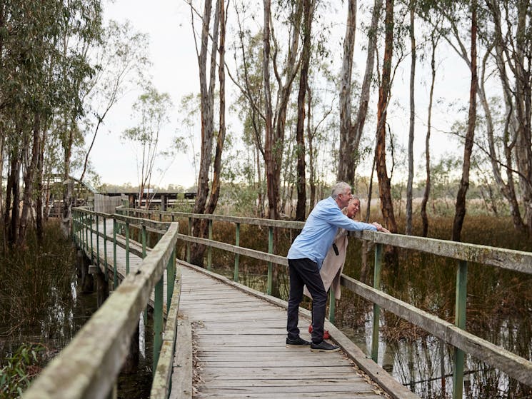 Reed Beds Bird Hide Boardwalk