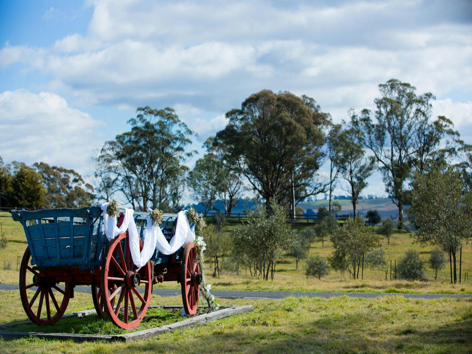 Our Vintage Cart Amongst Our Fruit Trees.   A Perfect Photo Opportunity.