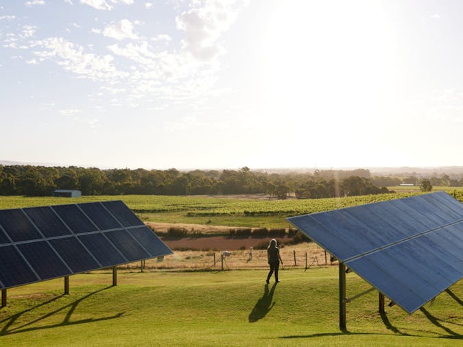 Vegan Wine Tour - Mclaren Vale