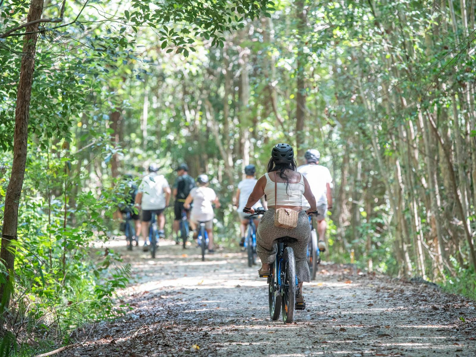 Northern Rivers Rail Trail: E-bike Self Guided Tour | NSW Holidays ...