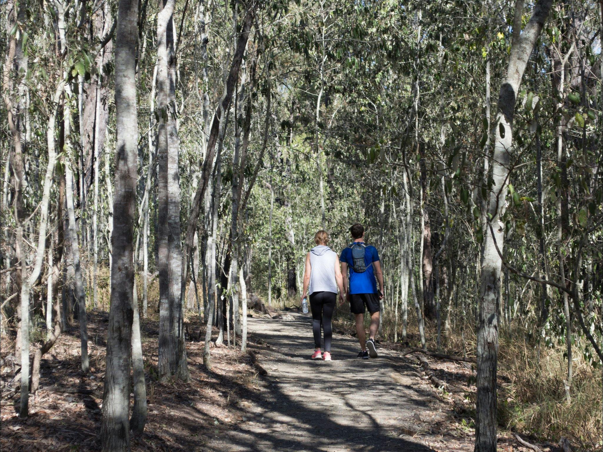 Six Mile Creek, Bluff Lookout and Little White Rock Trails