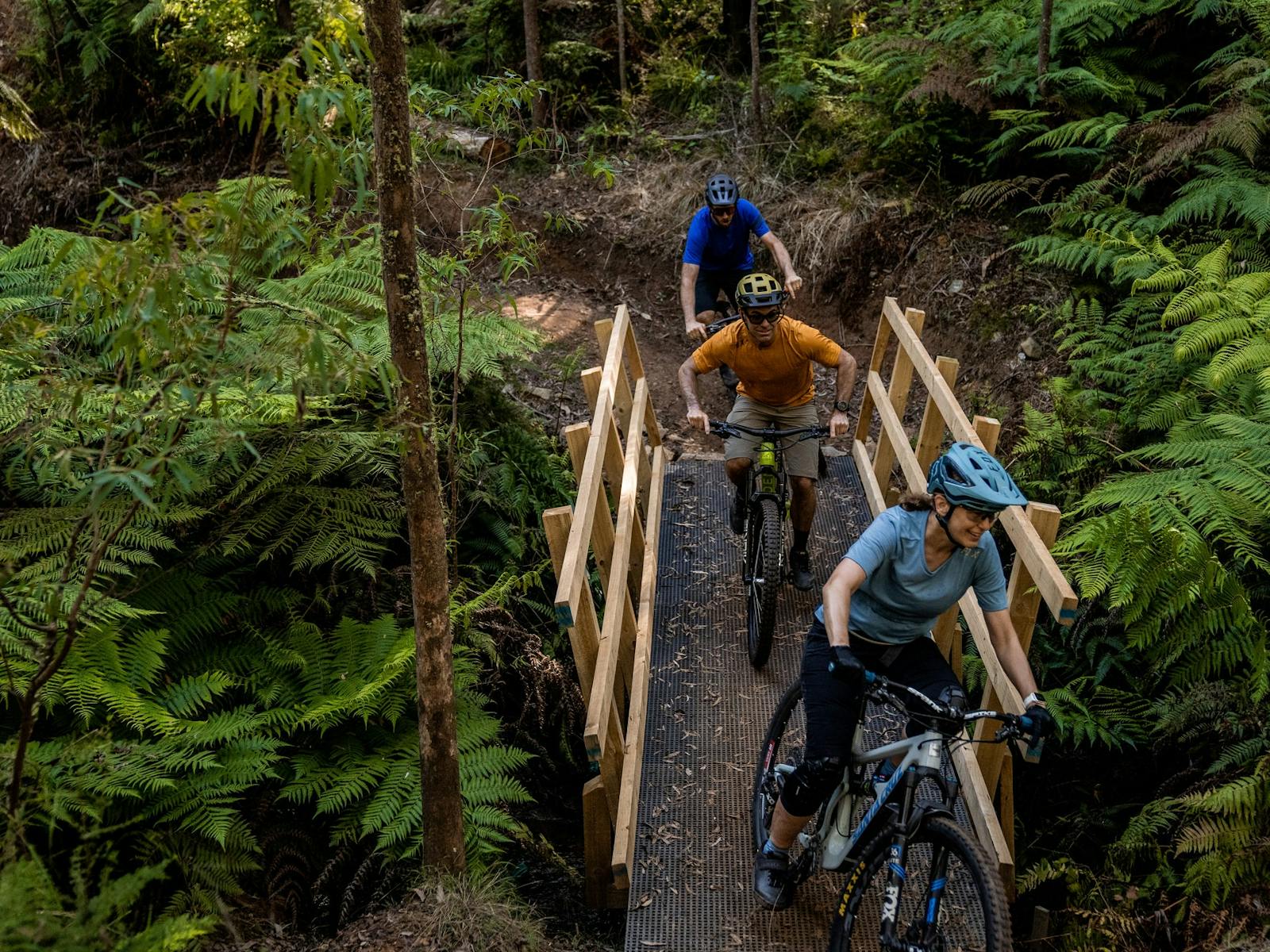 Three riders ride across a bridge on mountain bikes. The bridge is surrounded by ferns.