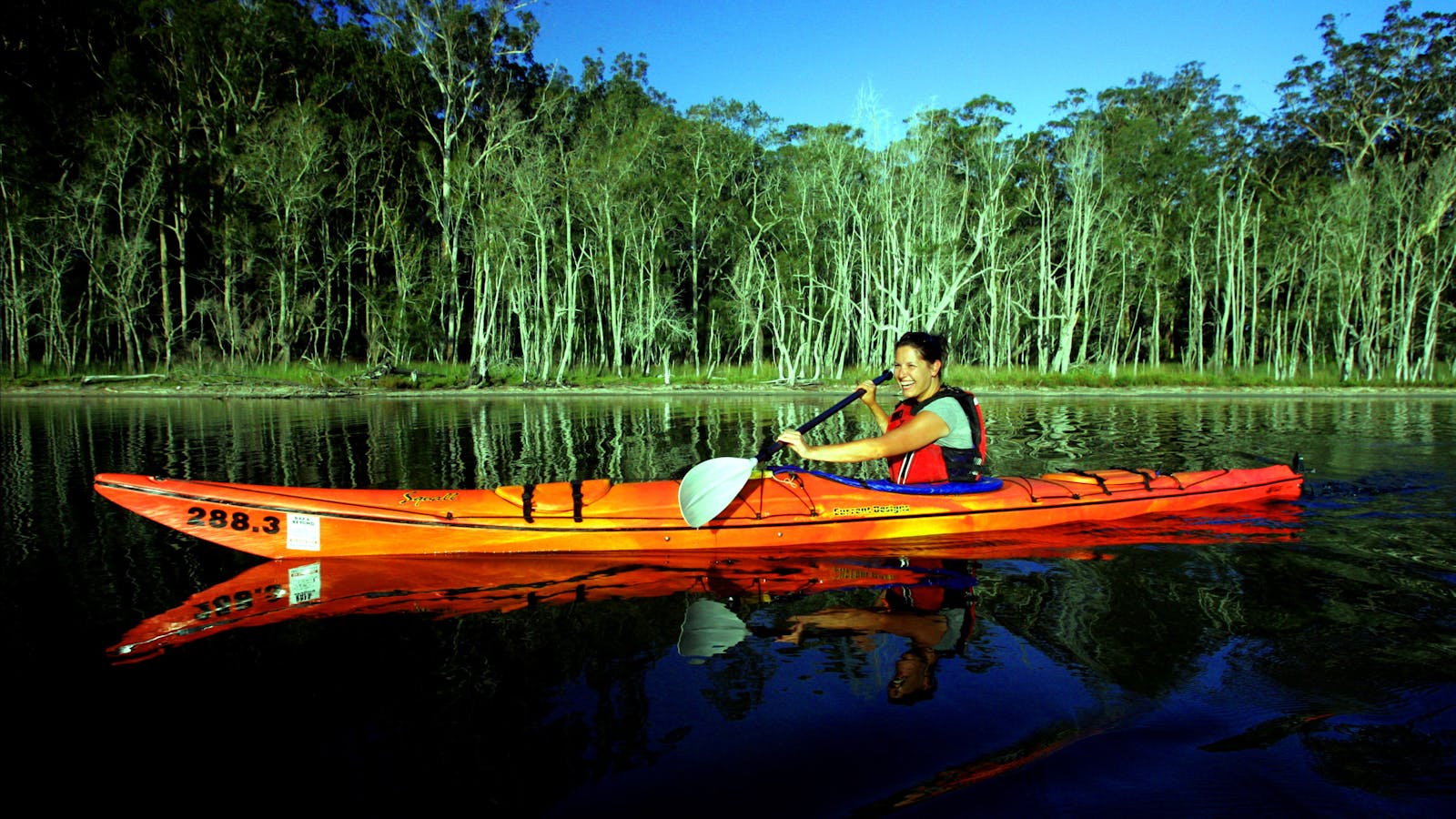 Bay and Beyond Sea Kayak Tours