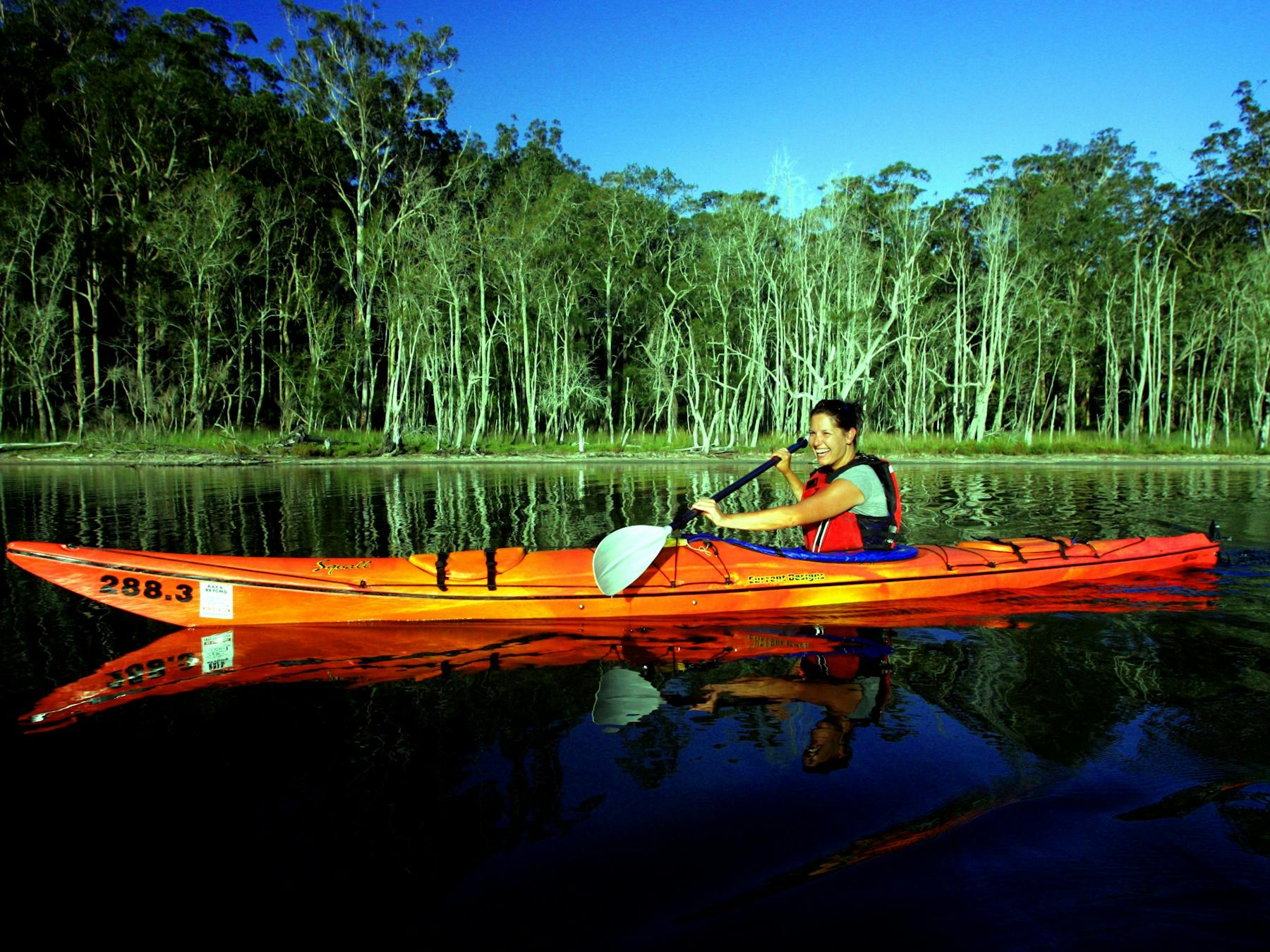 Batemans Marine Park Murramurang National Park seakayak sea kayak hire rent tour nature