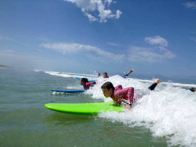 School Holidays Kids Dolphin and Ship Wreck Adventure