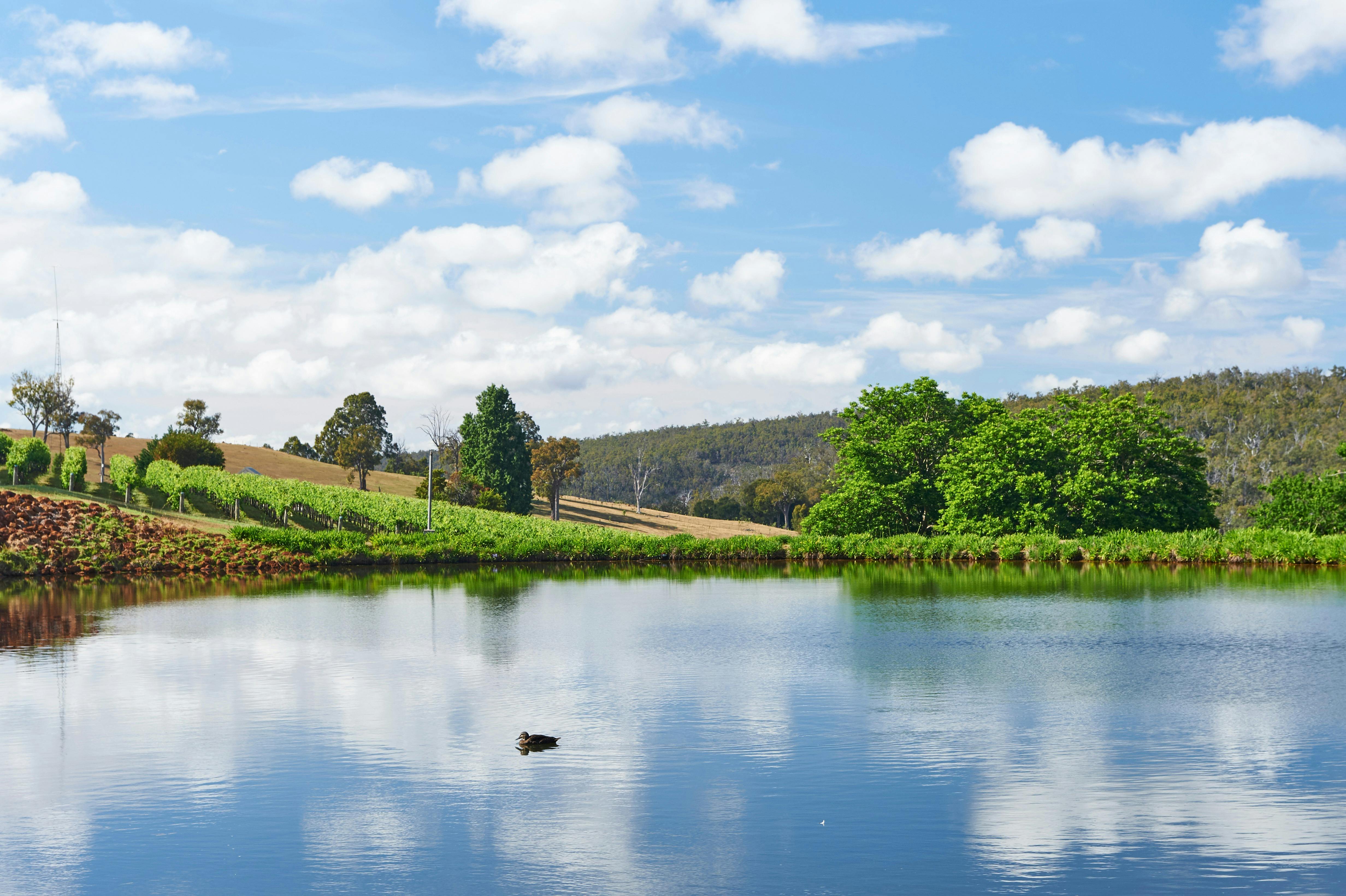 Millbrook Winery