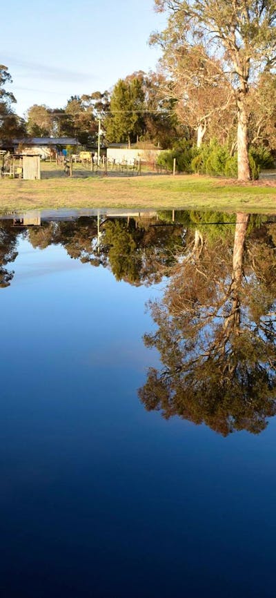 The Dam in vineyard