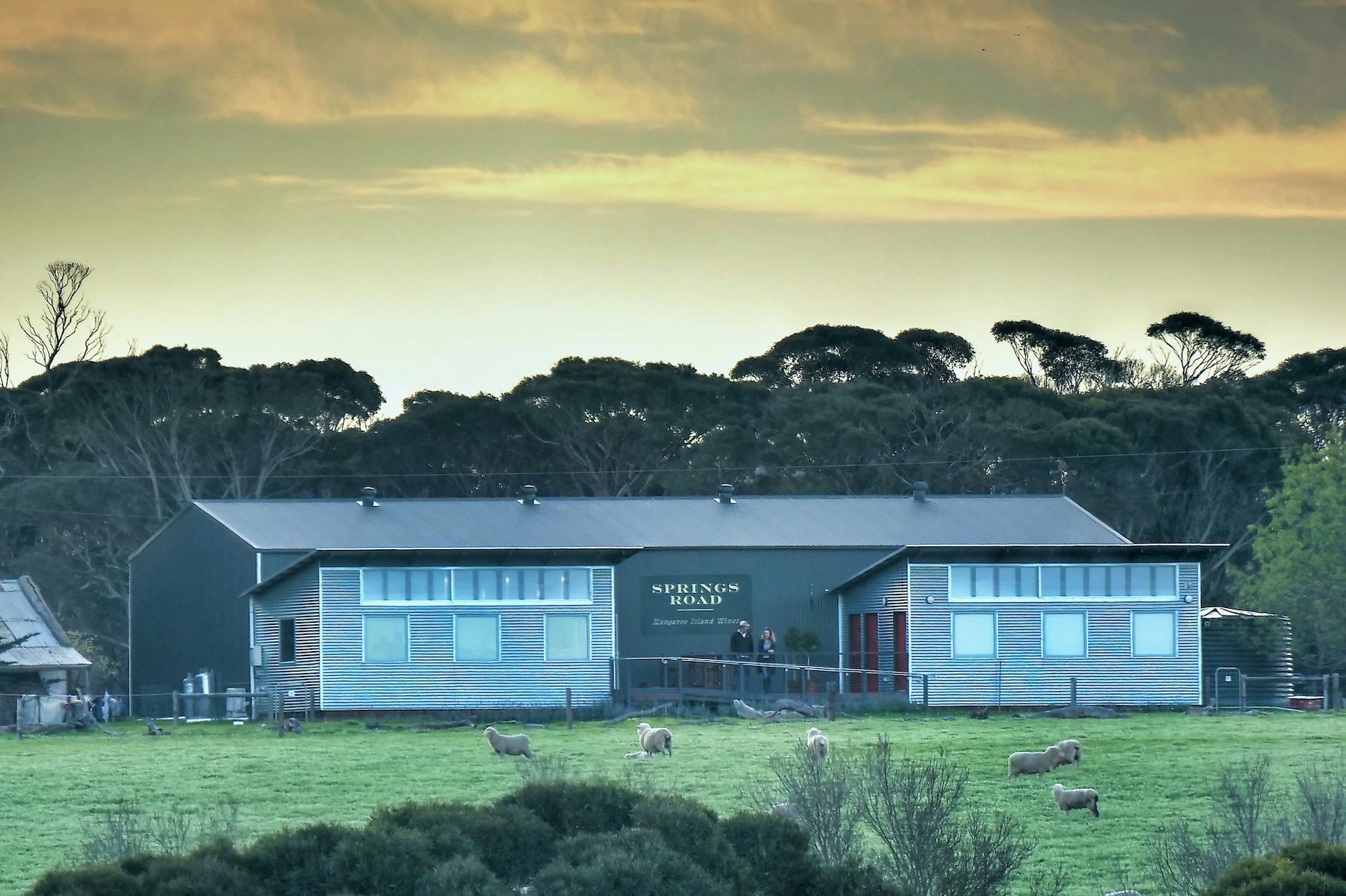 view of cellar door from Playford Highway