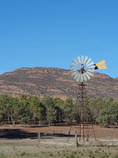 Coober Pedy to Adelaide – 5 Day Small Group 4WD Eco Safari