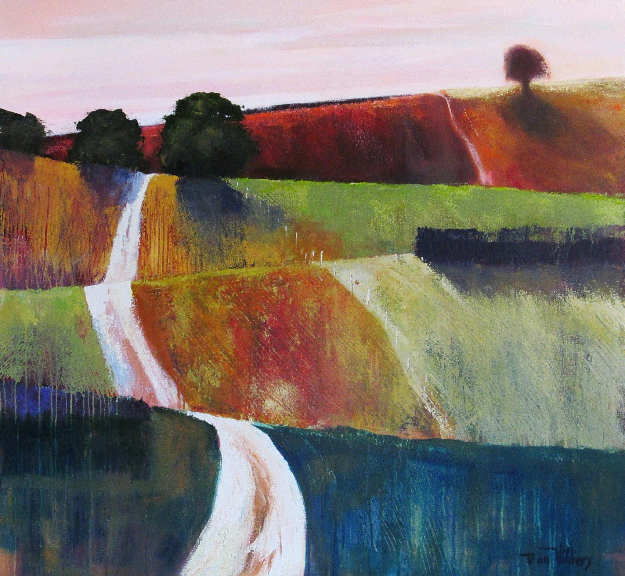 The Road Home  by Dan Villiers