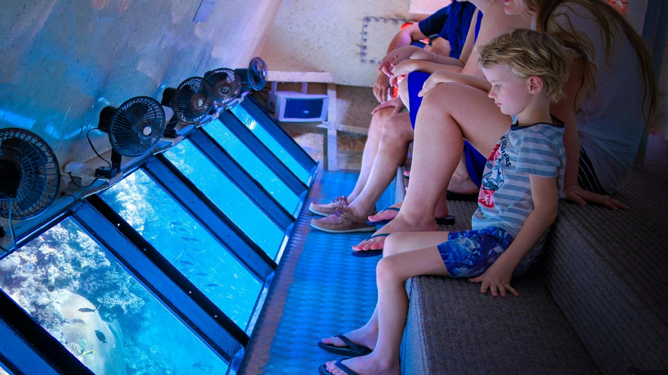 Semi Sub Tour with Commentary