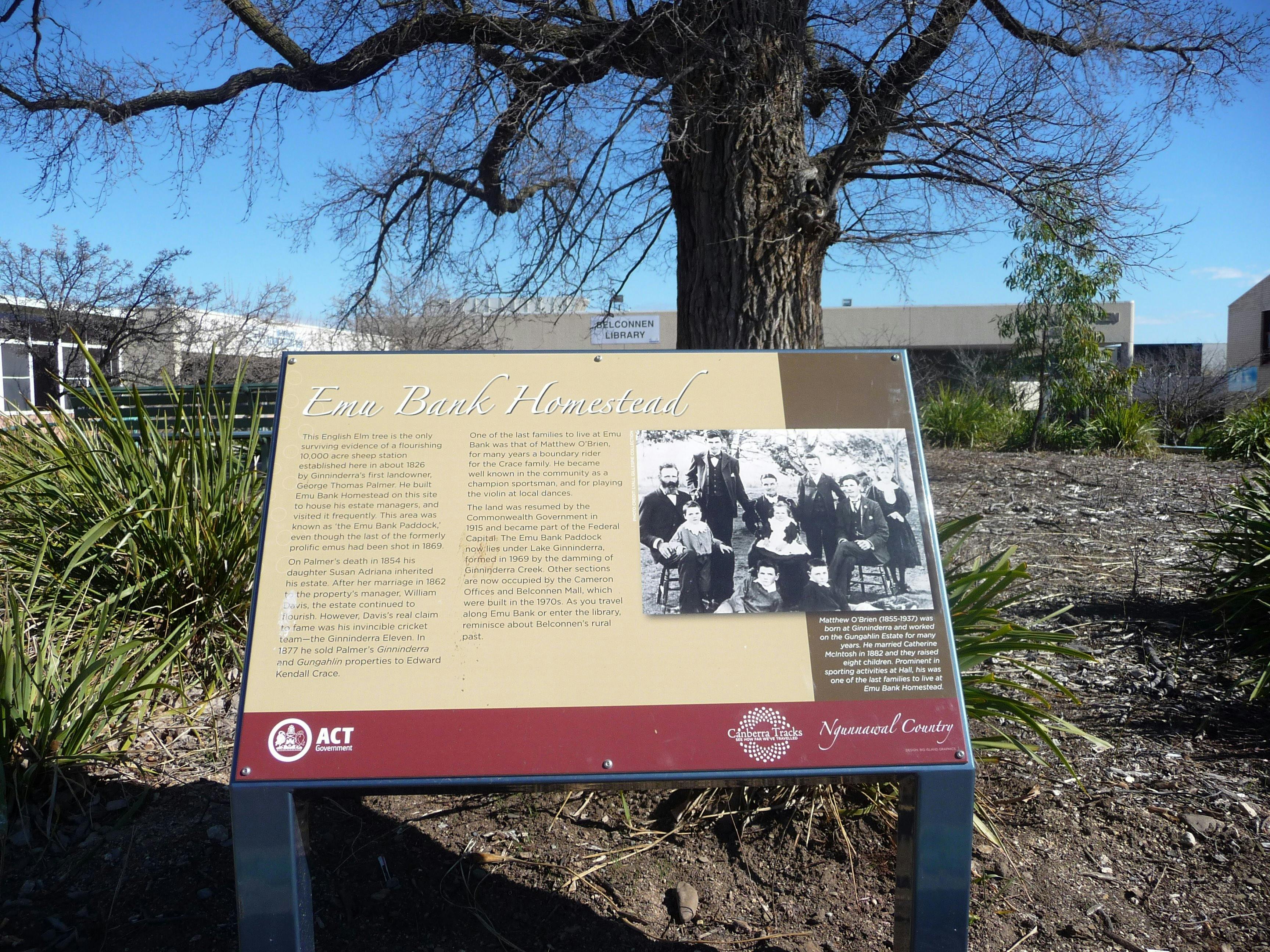 Information panel in front of a large tree trunk with a building in the background