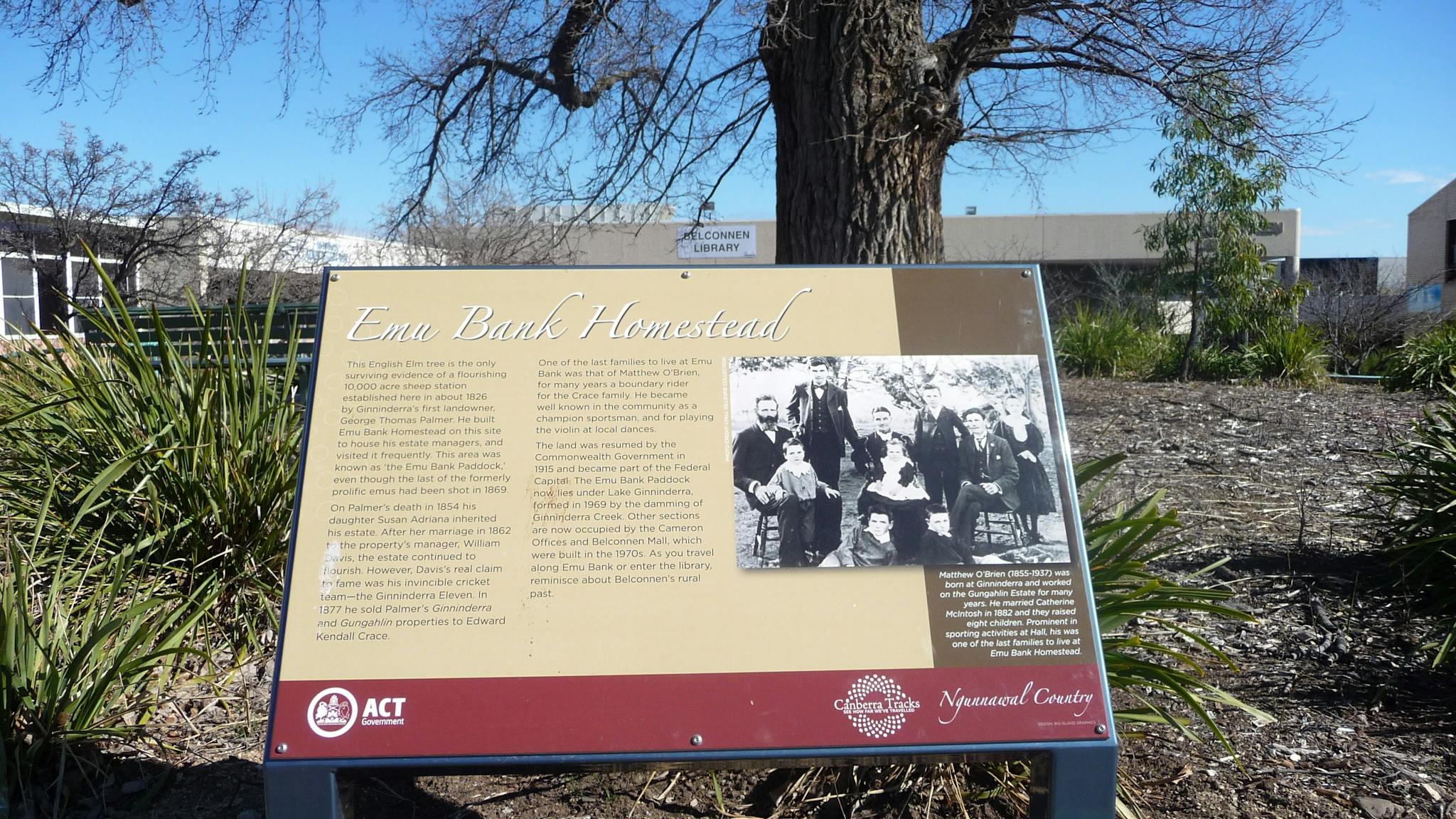 Information panel in front of a large tree trunk with a building in the background