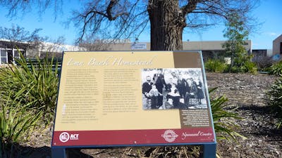 Information panel in front of a large tree trunk with a building in the background