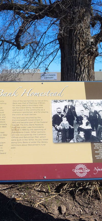 Information panel in front of a large tree trunk with a building in the background