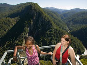 Leven Canyon Lookout Track