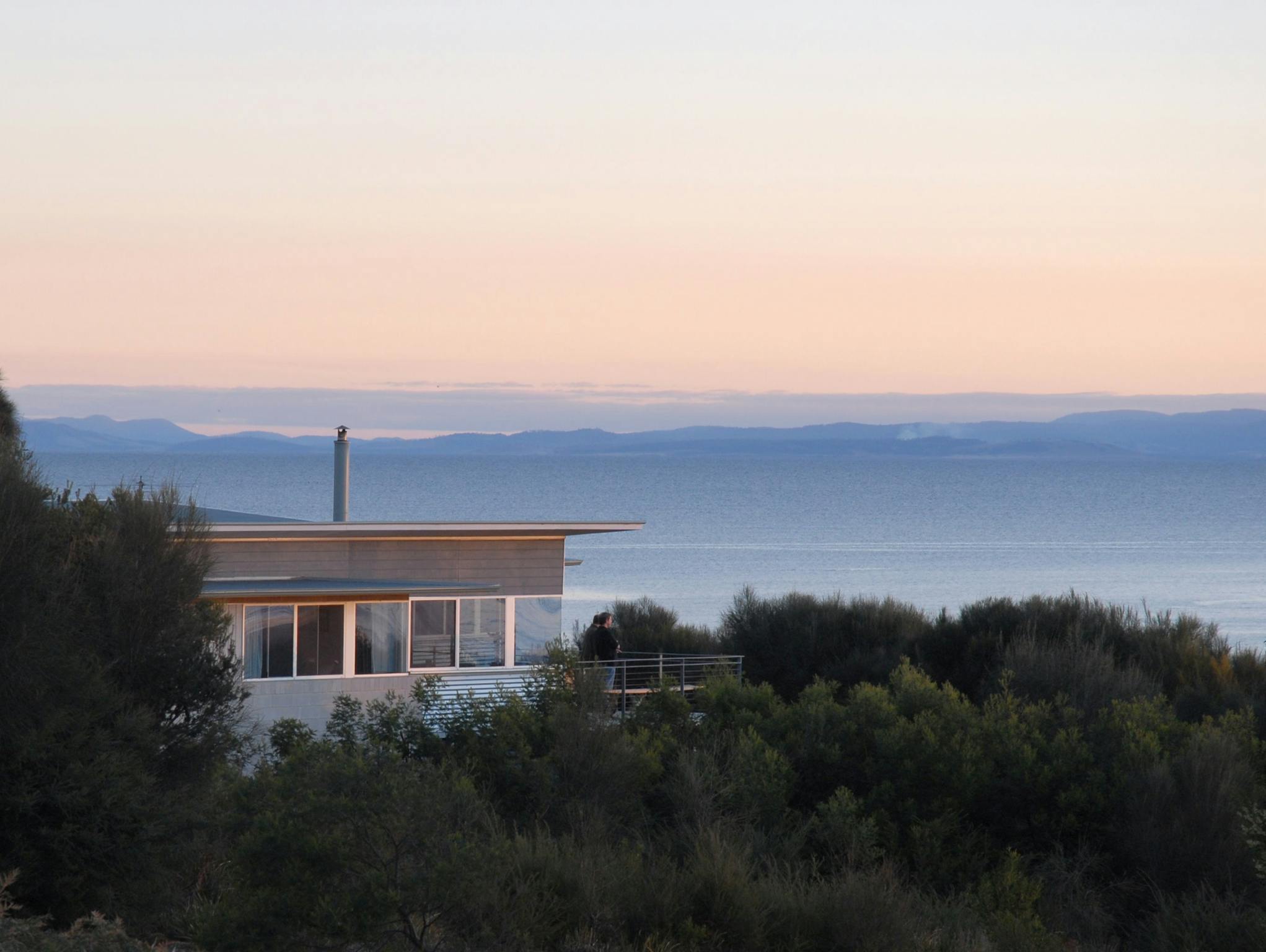 Sheoaks at Dawn