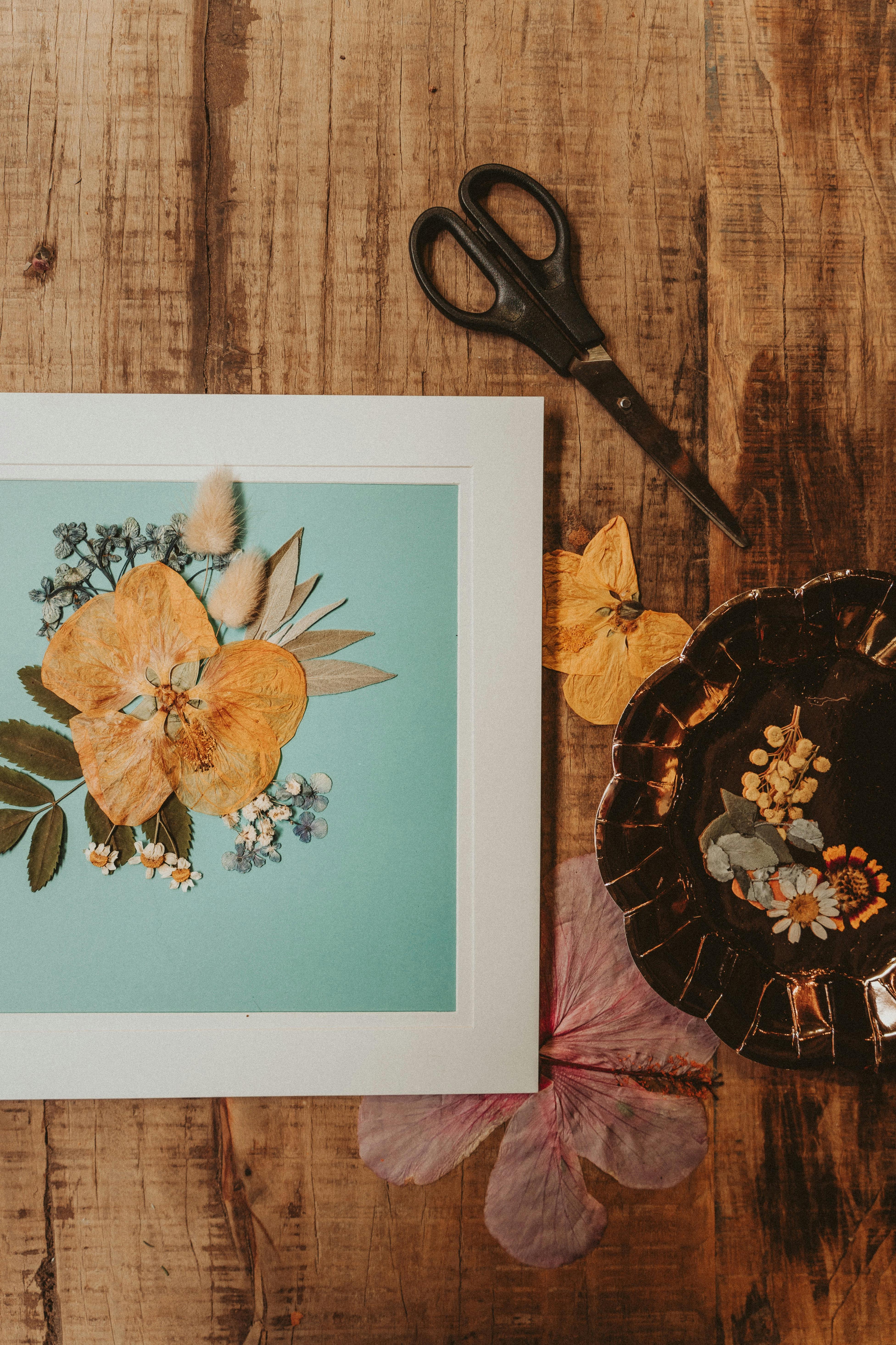 Experience Adelaide Gin.Flight.&Botanical.Art