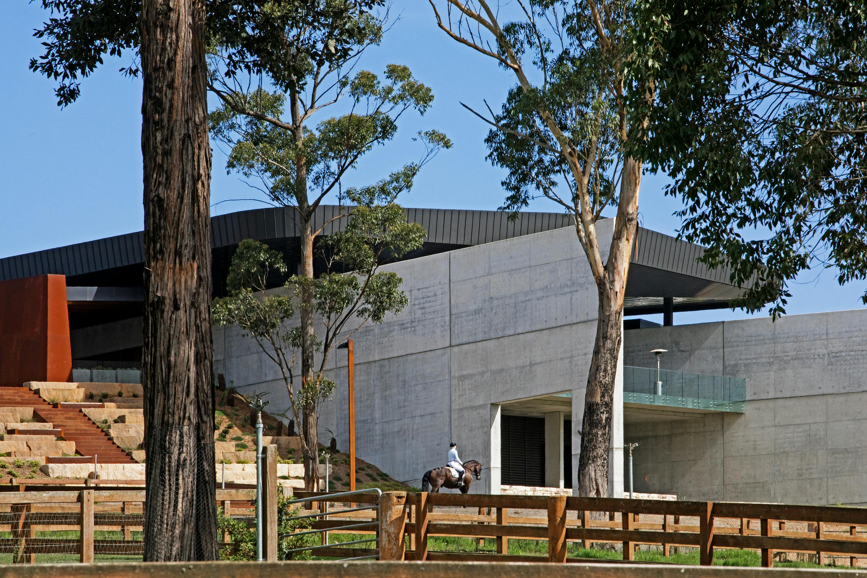 Horse walking in front of the Equine Education Centre