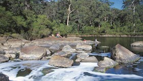 Walpole-Nornalup National Park, Walpole, Western Australia