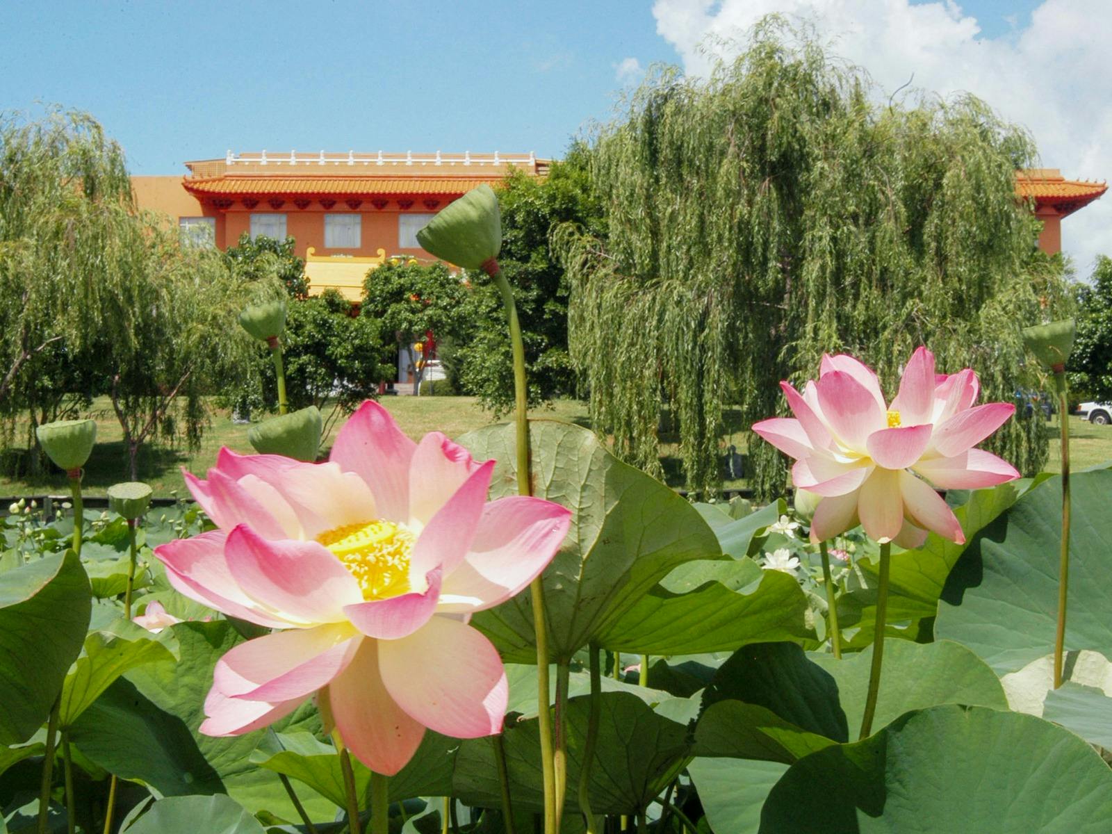Nan Tien Temple