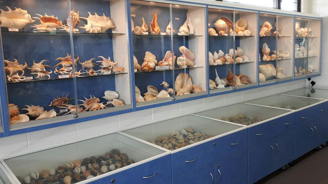 Shell World Yeppoon