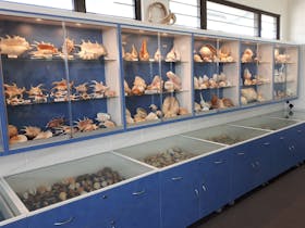 Shell World Yeppoon