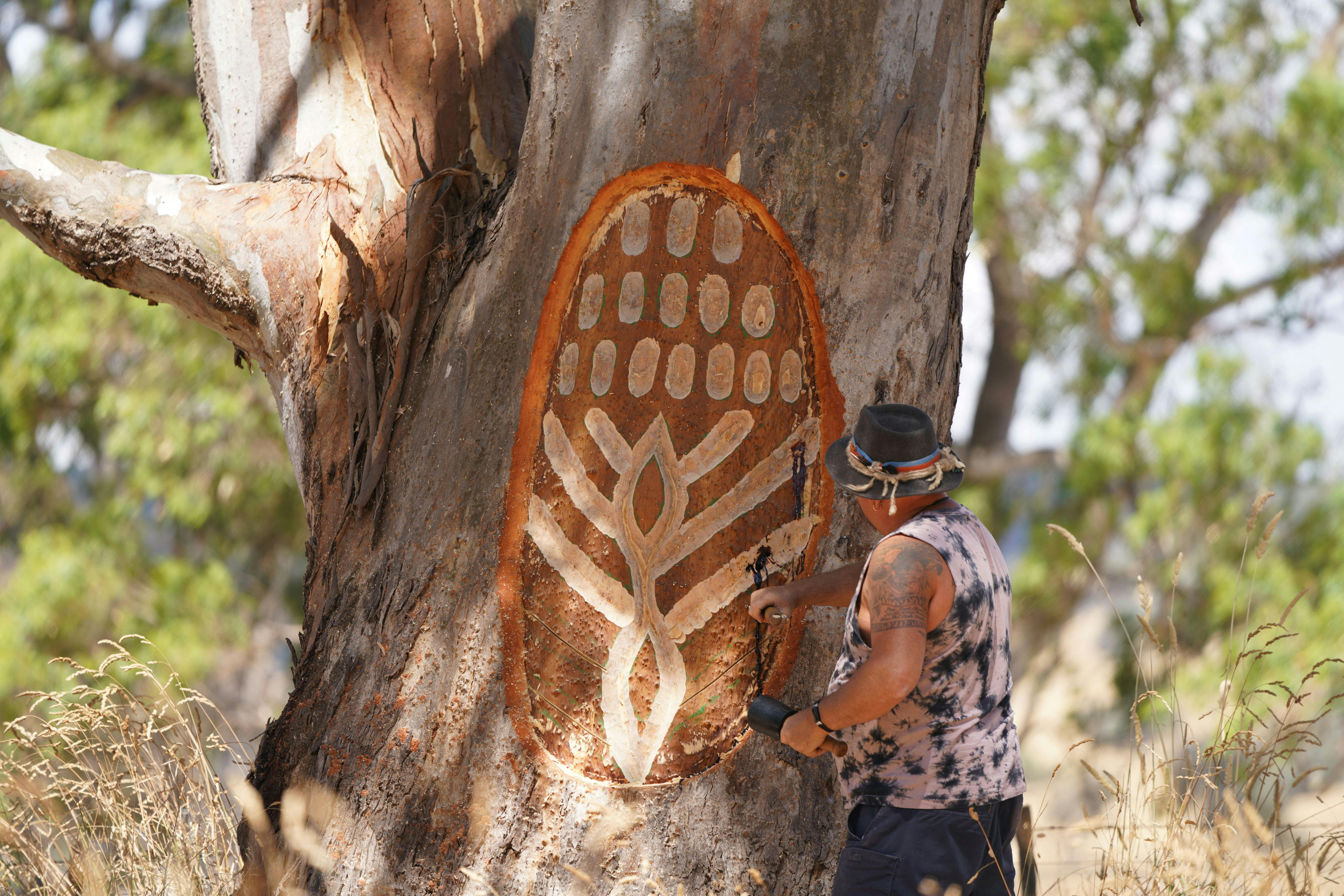 Uncle Mick and his culturally modified tree from Art on the Great Victorian Rail Trail