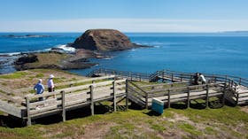 Penguin Island Boardwalks and Walk Trail