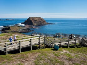 Penguin Island Boardwalks and Walk Trail