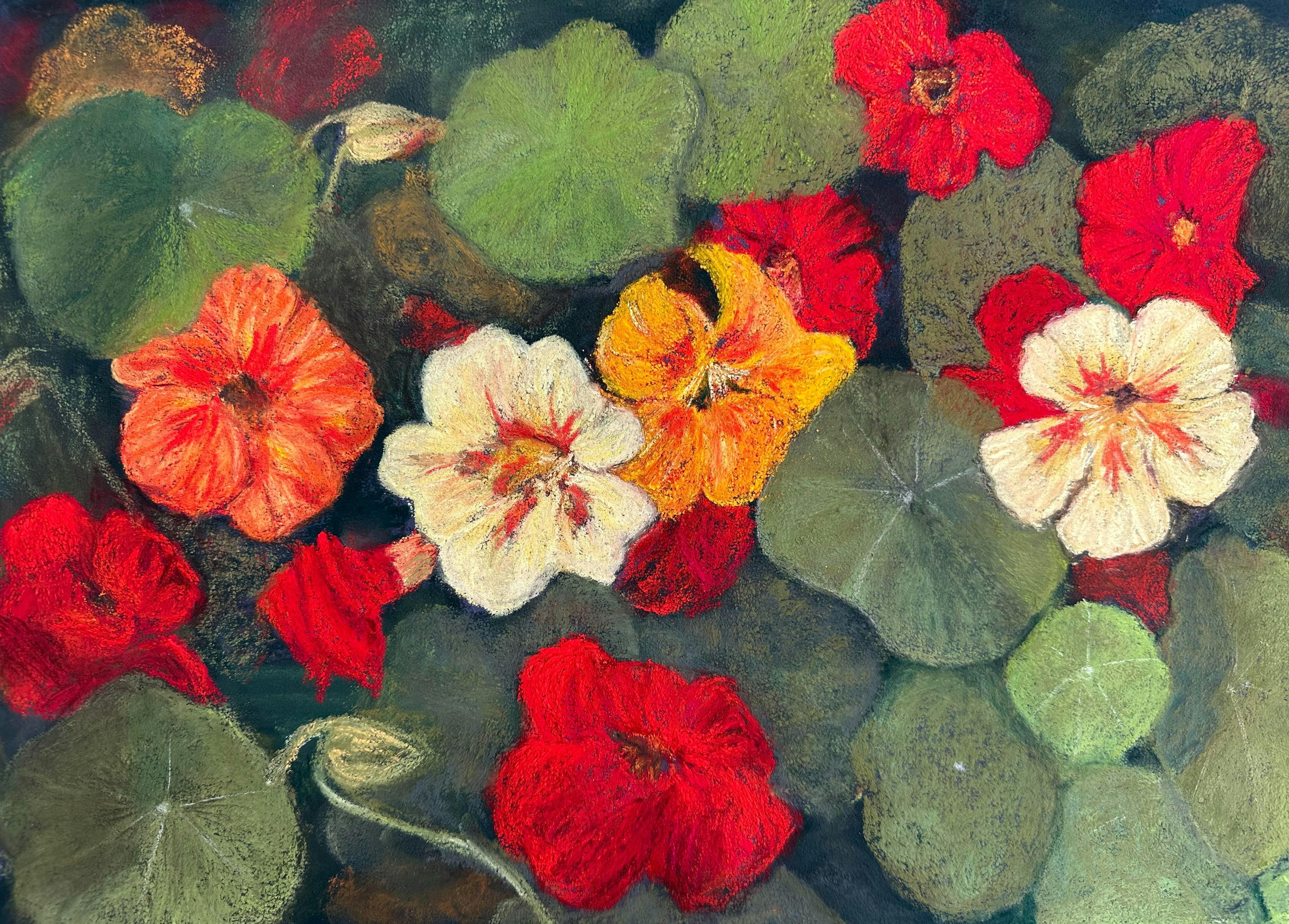 pastel artwork of nasturtiums by Anthea Kenyon
