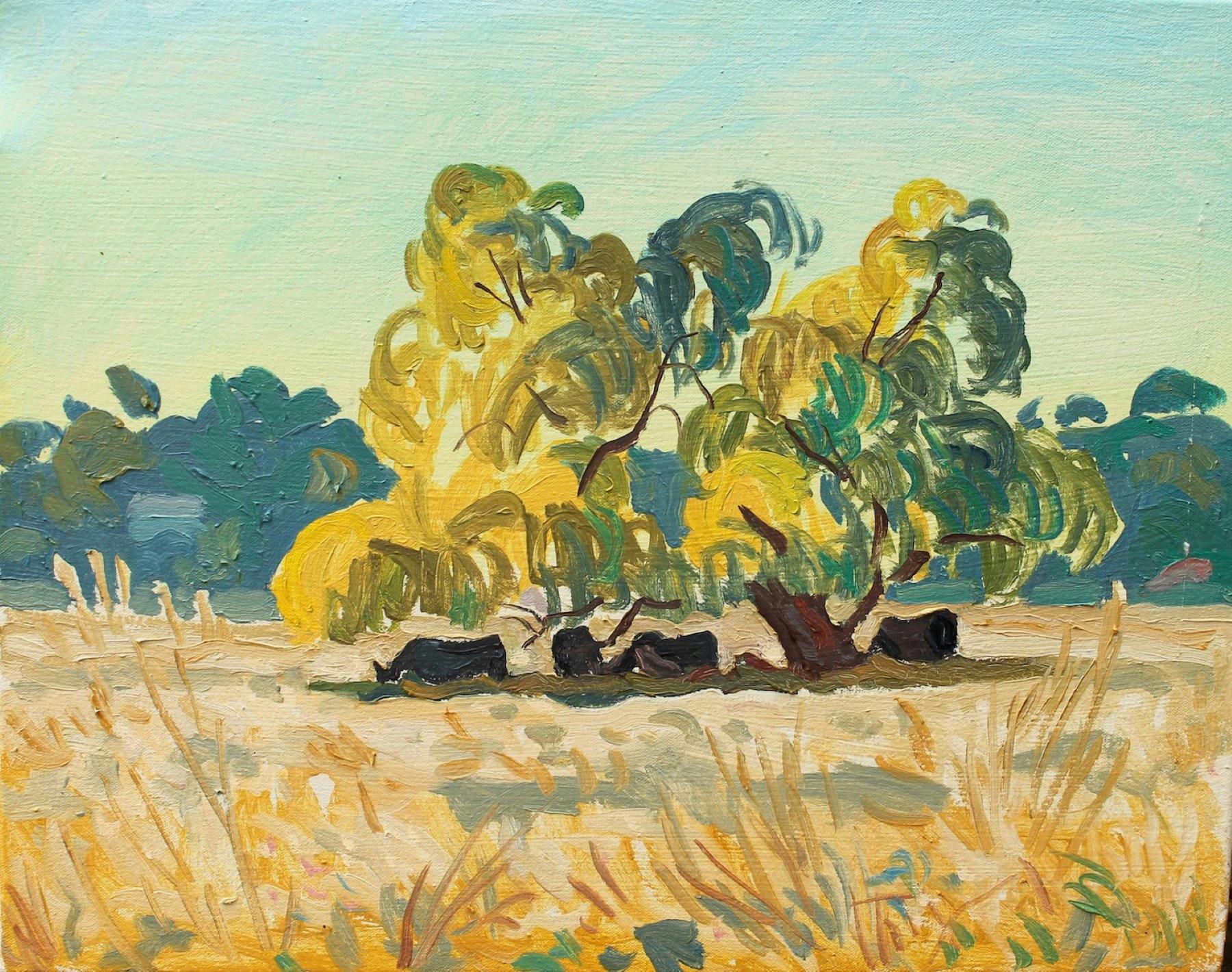 Mark Dober and Brendan Nichol : Pastoral Landscapes