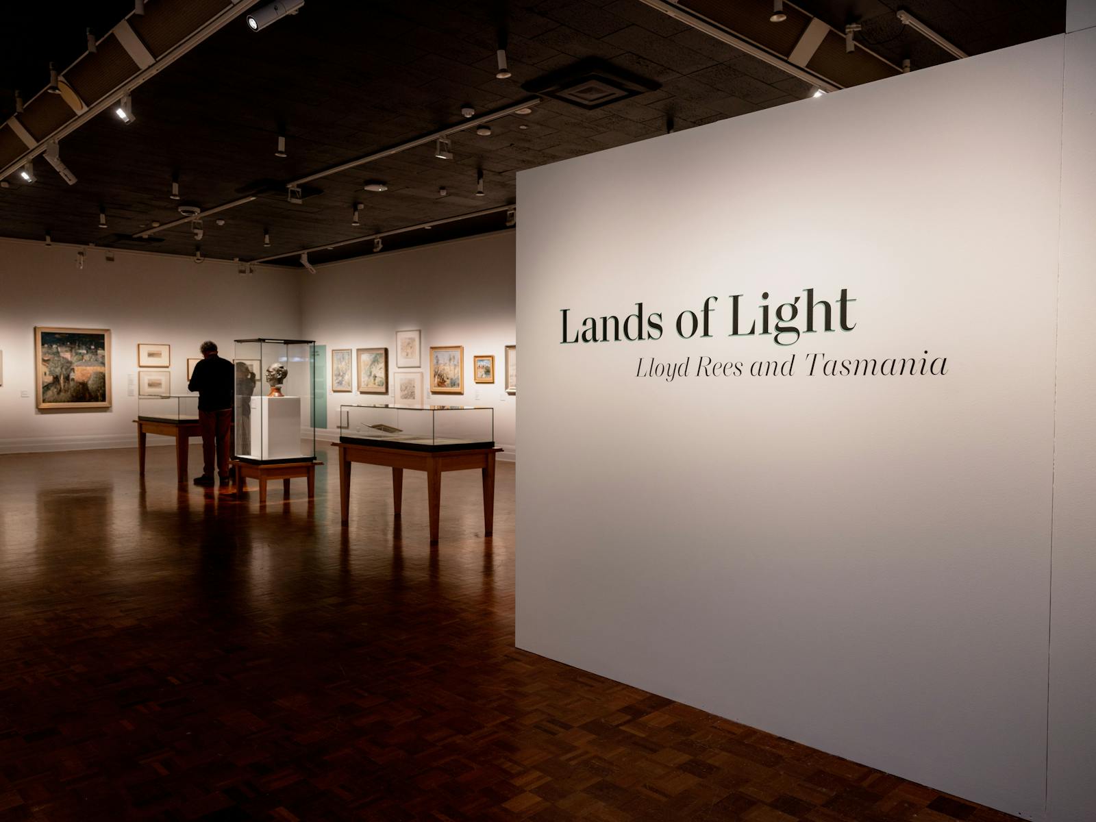 Image for Lands of Light: Lloyd Rees and Tasmania