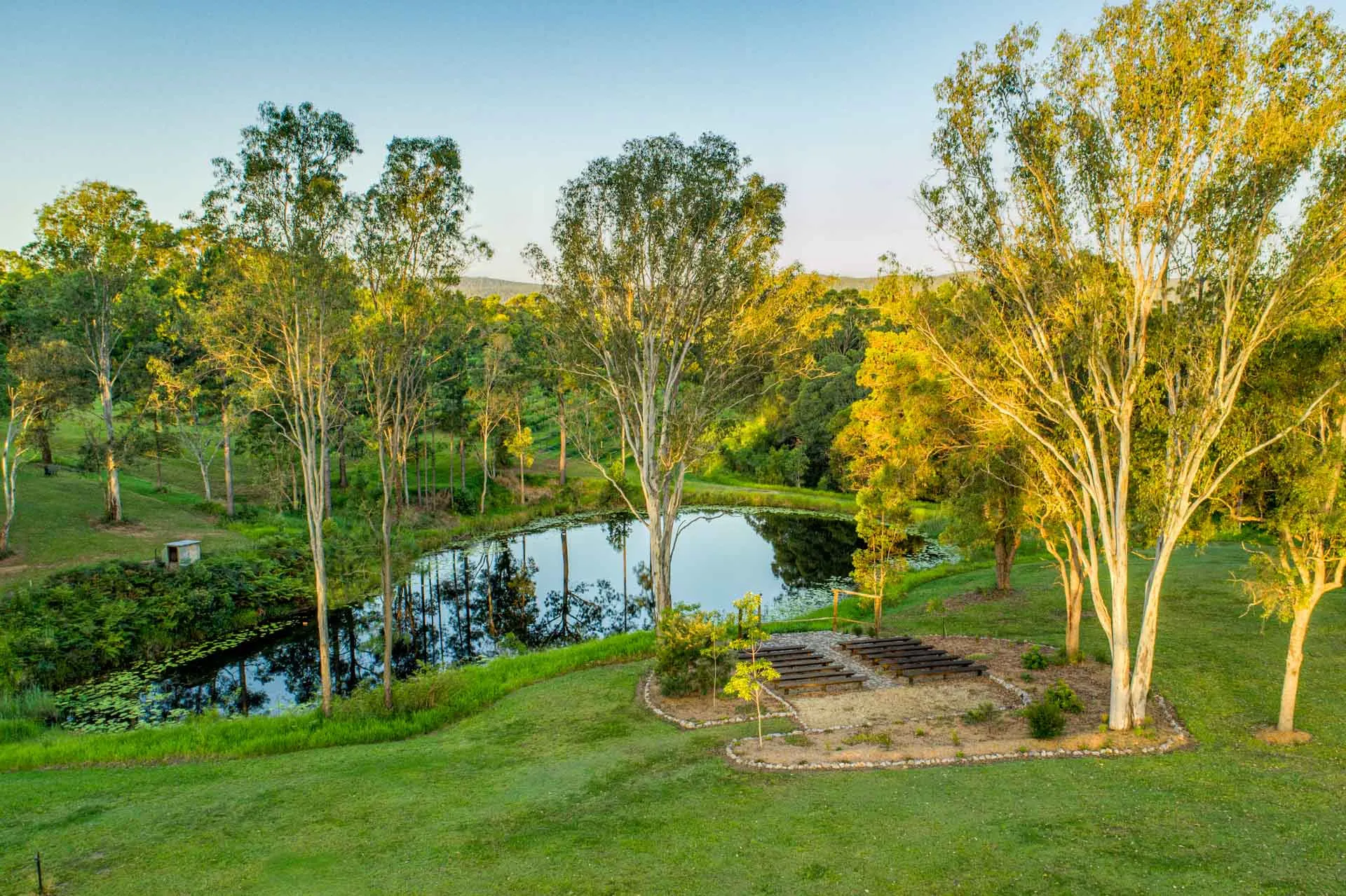 dingo creek vineyard