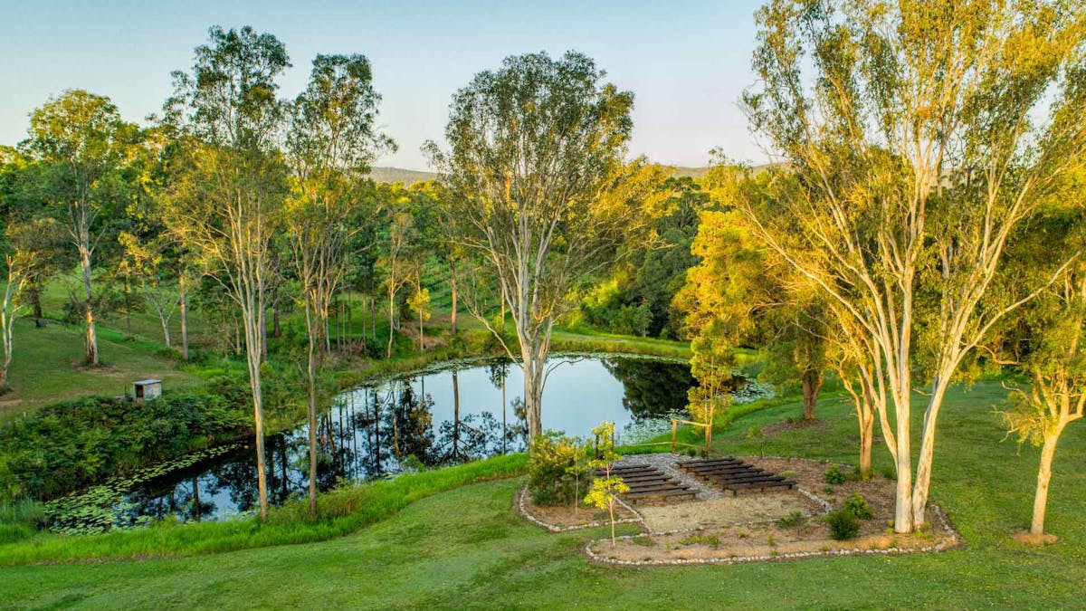 dingo creek vineyard